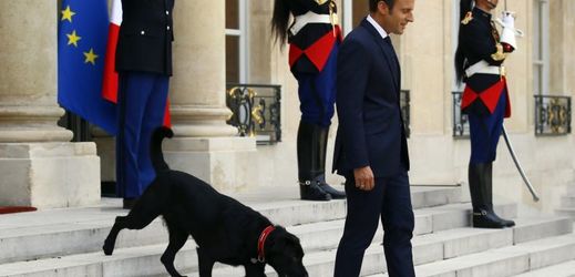 Prezident Emmanuel Macron a jeho pes Nemo.