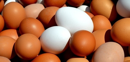 Veterináři rozšířili povinné kontroly na insekticid fipronil u vajec (ilustrační foto).