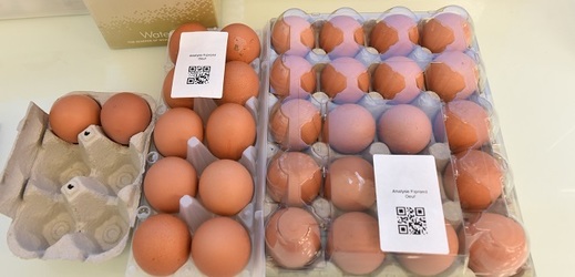 Veterináři rozšířili povinné kontroly dovezených vajec.