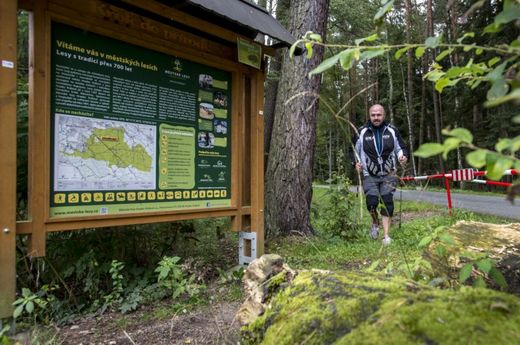 Do lesů Hradce Králové zamíří ročně téměř milion turistů.