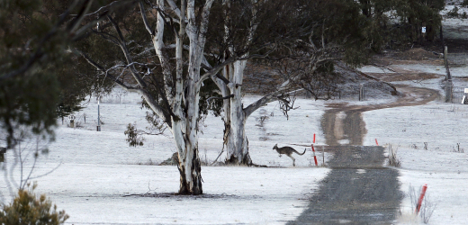 Zima v Austrálii, Canberra (ilustrační foto).
