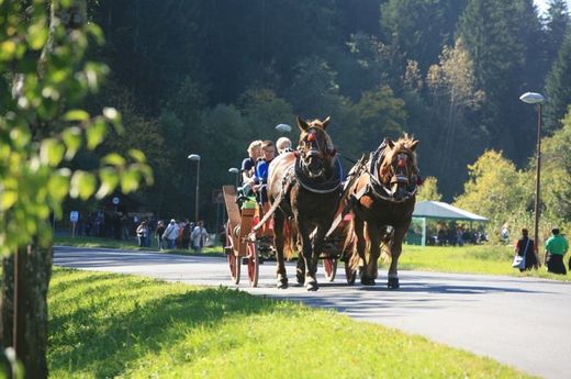 Údolím budou hosty vozit vláčky, historické autobusy a koňské povozy.