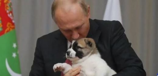 Putin dostal štěně alabaje od prezidenta Turkmenistánu.