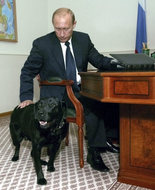 Vladimir Putin a jeho oblíbená fenka Konnie.