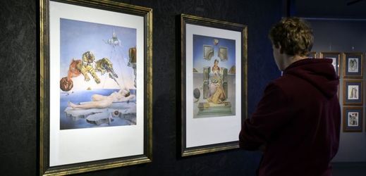 Expozice nazvaná Salvador Dalí - Žiji sen potrvá do 14. ledna příštího roku.