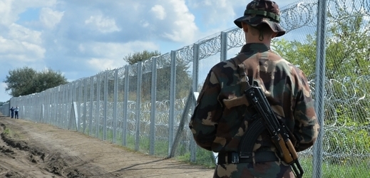Plot na maďarské hranici se Srbskem.