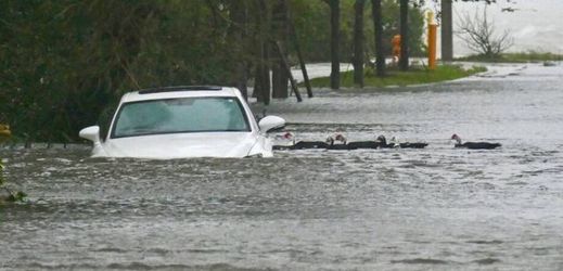 Auto poškozené hurikány v USA.