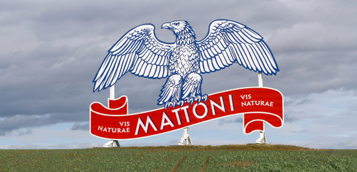Logo Mattoni.