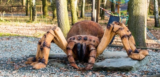 Dřevěný model pavouka.