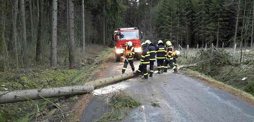 Silný vítr zaměstnal 11. prosince 2017 v Olomouckém kraji hasiče, nejčastěji vyjížděli kvůli popadaným stromům. Odklízeli je ze silnic nejvíce na Olomoucku, ale také na Přerovsku a Jesenicku.