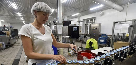 Na snímku z 24. října je pracovnice u výrobní linky společnost Linea Nivnice, která je jedním z největších tuzemských zpracovatelů ovoce (ilustrační foto).