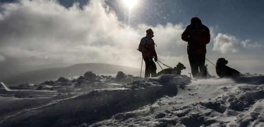 Horští záchranáři v Krkonoších, trénink vyhledávání v lavinách. 