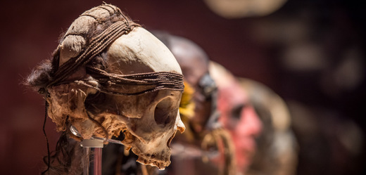 Výstava Mumie světa v pražských Holešovicích začne 1. února.