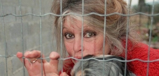 Francouzská herečka a ochránkyně zvířat Brigitte Bardotová.