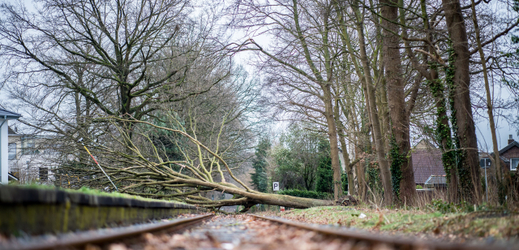 Vyvrácený strom bránil železniční dopravě (ilustrační foto).