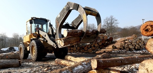 Ministr zemědělství v demisi Jiří Milek navštívil kůrovcem poškozené oblasti Lesní správy v Bruntále.