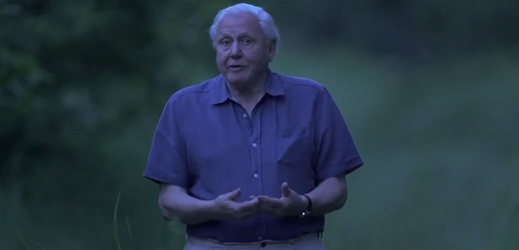 Britský přírodovědec a moderátor David Attenborough.