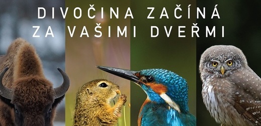 Plakát k filmu Planeta Česko. 