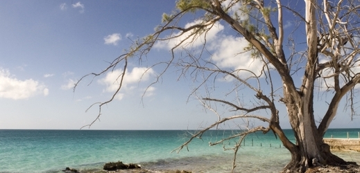 Bahamy.