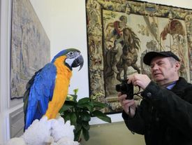 Výstava, kterou ozvláštňují čtyři papoušci, bude přístupná do neděle 25. března.