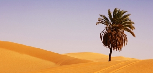Ilustrační foto ze Sahary.