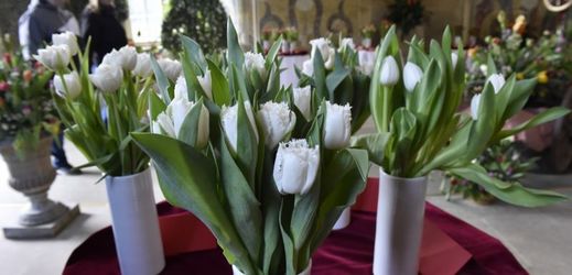 Buchlovický zámek ozdobily tulipány.