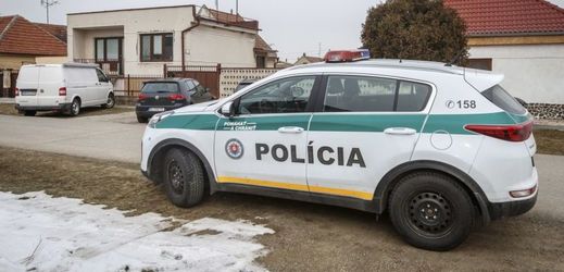 Slovenská policie (ilustrační foto).