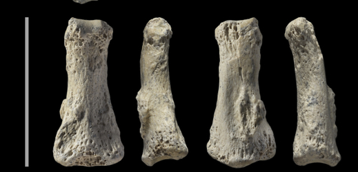 V Saúdské Arábii objevili 90 tisíc let staré fosilie lidského prstu.
