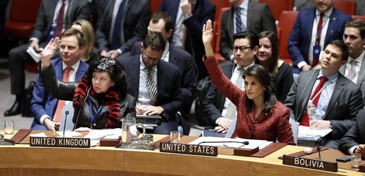 Zasedání Rady bezpečnosti OSN.