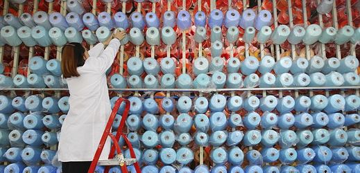 Čínská pracovnice v textilním průmyslu (ilustrační foto).