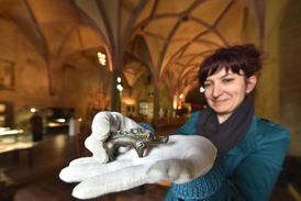 Na snímku ukazuje kurátorka uměleckých sbírek muzea Lenka Zajícová cennou pravěkou figurku malého kance z bronzu.