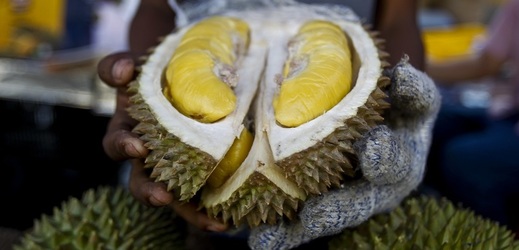 Durian cibetkový.