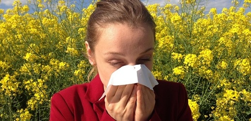 Alergiky nejvíc trápí zahlenění, záněty očí, škrábání v krku (ilustrační foto).