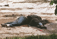 Boško Brkič a Admira Ismičová byli v roce 1993 zastřeleni při pokusu o útěk ze Srby obleženého Sarajeva. Těla ležela šest dnů na tzv "území nikoho". 