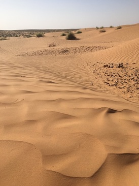 K písečným dunám a skutečné poušti (přesně takové, jak ji znáte z obrázků) se vyjíždí brzy ráno.