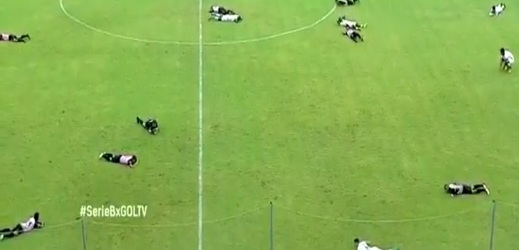 Fotbalové utkání druhé ekvádorské ligy muselo být přerušeno kvůli útoku včel.
