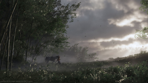 Chystaná PlayStation 4 exkluzivita se samurajem v hlavní roli ukázala působivé záběry