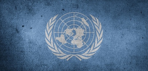 Rada OSN pro lidská práva vznikla v roce 2006 jako nástupce Komise OSN pro lidská práva.