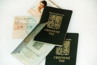 Pasy a občanské průkazy (ilustrační foto).