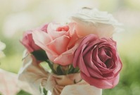 Mezi nejoblíbenější květiny Čechů patří růže.