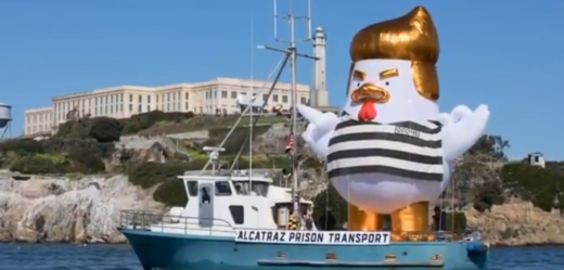 "Kuřecí Trump" na plavbě v Sanfranciském zálivu.