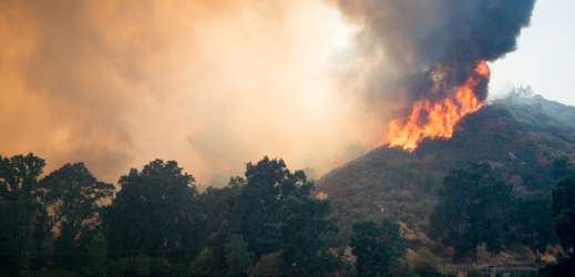 Ohnivé peklo v Kalifornii. Zuří 17 požárů, guvernér žádá o pomoc Trumpa.