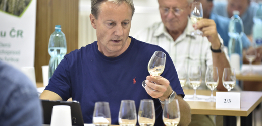 O titul TOP Víno Slovácka letos usiluje dvacet vinařů se 111 vzorky.