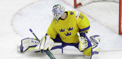 Anders Nilsson na letošním hokejovém MS.