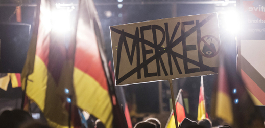 Demonstrace pořádaná Alternativou pro Německo.
