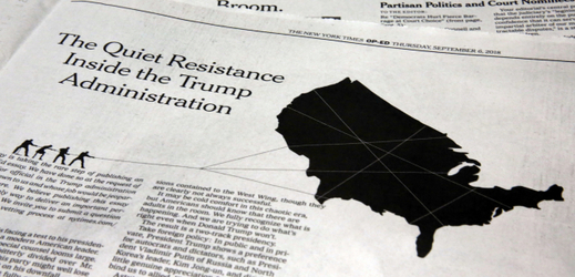 Snímek článku 'Quiet Resistance’, který vyšel v NY Times.