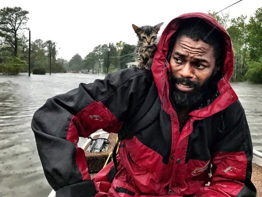 Evakuace Roberta Simmonse a jeho kotěte dopadla naštěstí dobře.