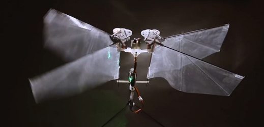 Hmyzí robot, kterého vědci sestrojili.