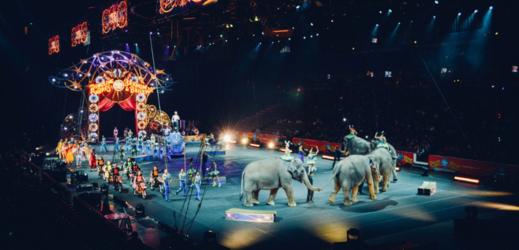 Cirkus (ilustrační foto).