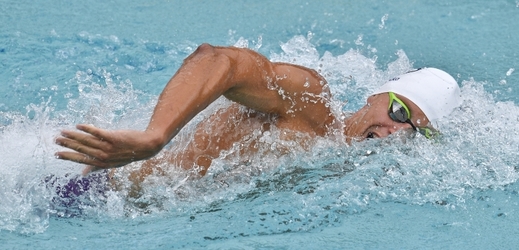 Čeští plavci vylepšili celkem tři národní rekordy. 